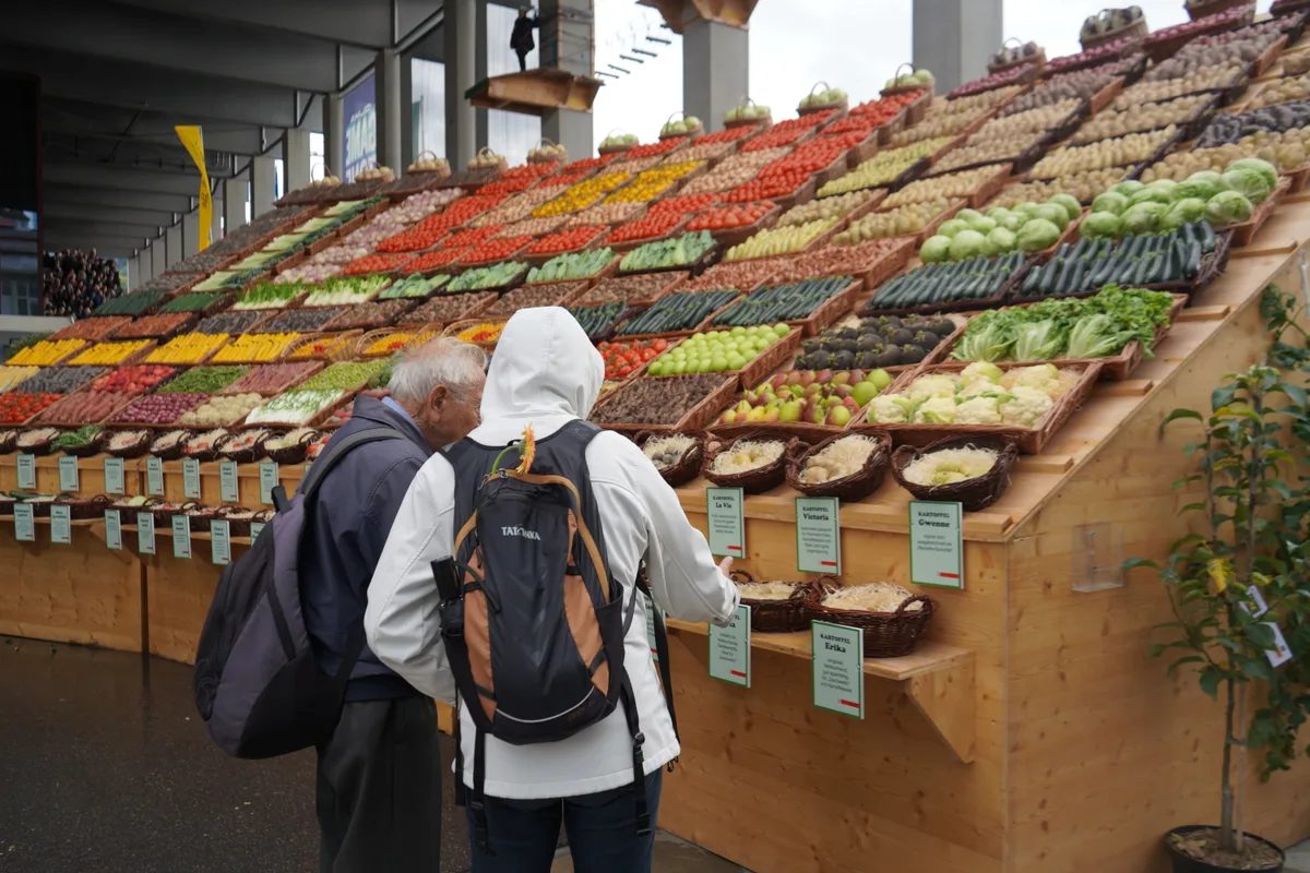 An der Olma 2023 war Zürich der Gastkanton.
